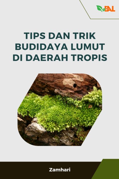 Tips dan Trik Budidaya Lumut di Daerah Tropis